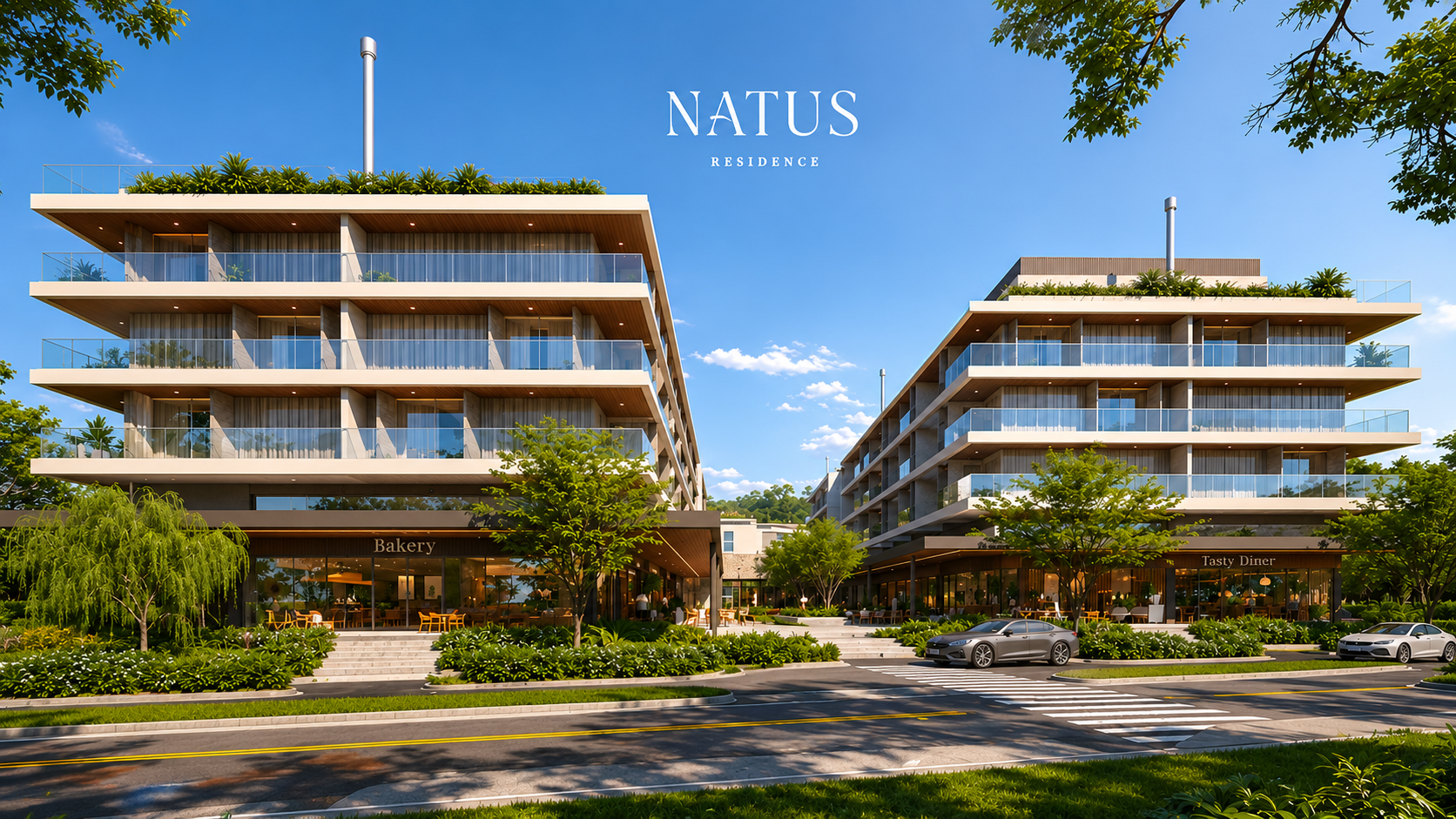 Natus